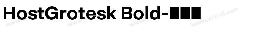 HostGrotesk Bold字体转换